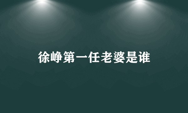 徐峥第一任老婆是谁