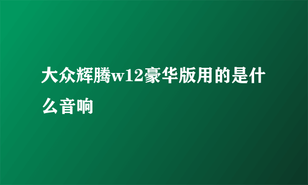 大众辉腾w12豪华版用的是什么音响