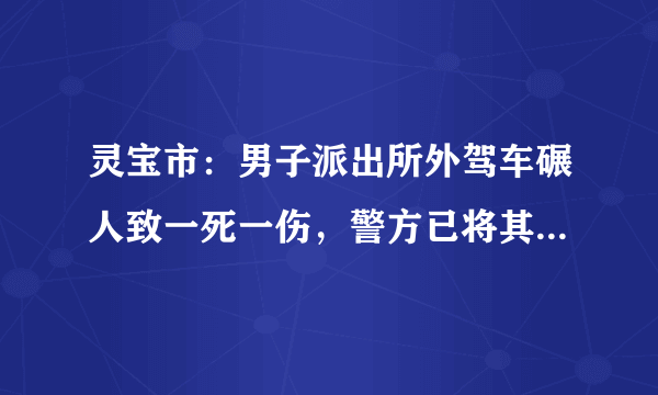 灵宝市：男子派出所外驾车碾人致一死一伤，警方已将其控制, 你怎么看？