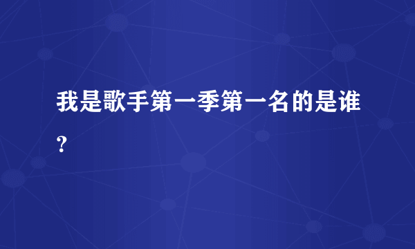 我是歌手第一季第一名的是谁？