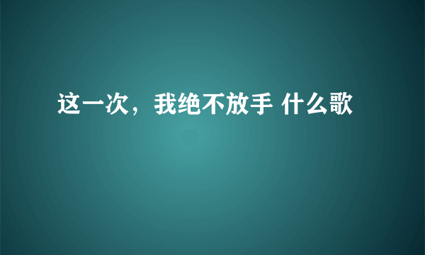 这一次，我绝不放手 什么歌