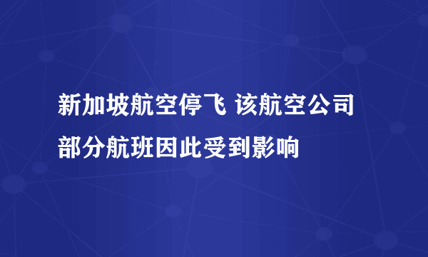 新加坡航空停飞 该航空公司部分航班因此受到影响