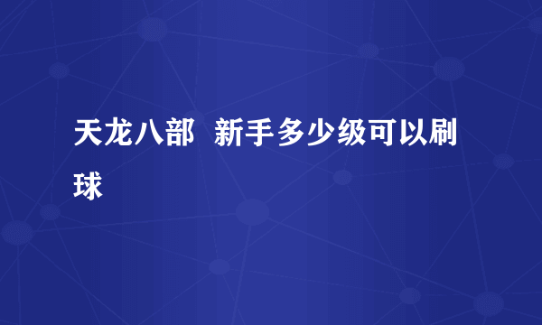 天龙八部  新手多少级可以刷球