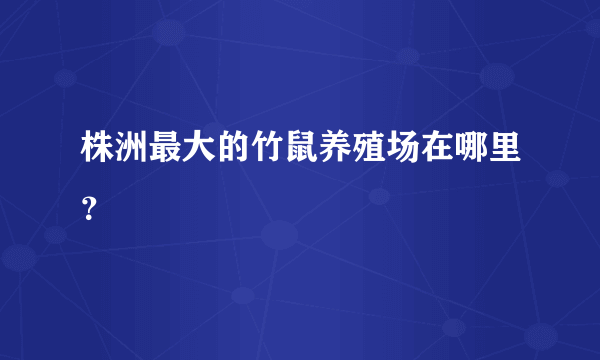 株洲最大的竹鼠养殖场在哪里？