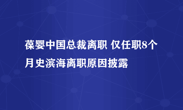 葆婴中国总裁离职 仅任职8个月史滨海离职原因披露