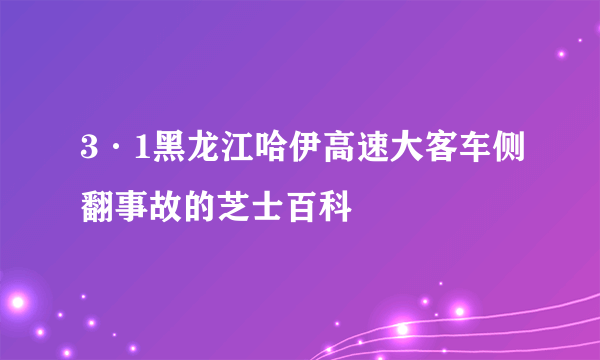 3·1黑龙江哈伊高速大客车侧翻事故的芝士百科