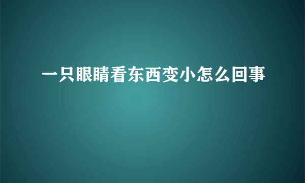 一只眼睛看东西变小怎么回事