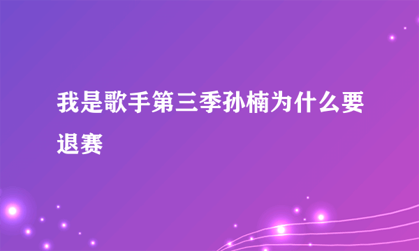 我是歌手第三季孙楠为什么要退赛