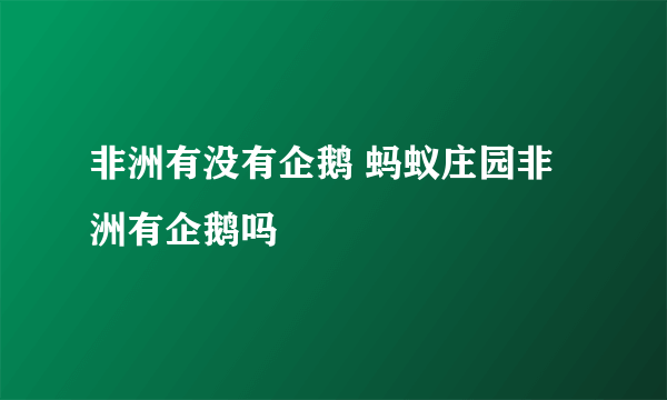 非洲有没有企鹅 蚂蚁庄园非洲有企鹅吗