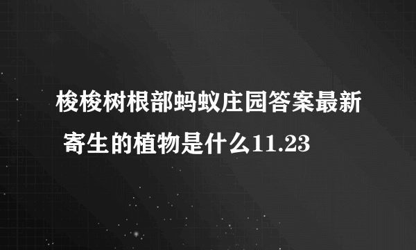 梭梭树根部蚂蚁庄园答案最新 寄生的植物是什么11.23