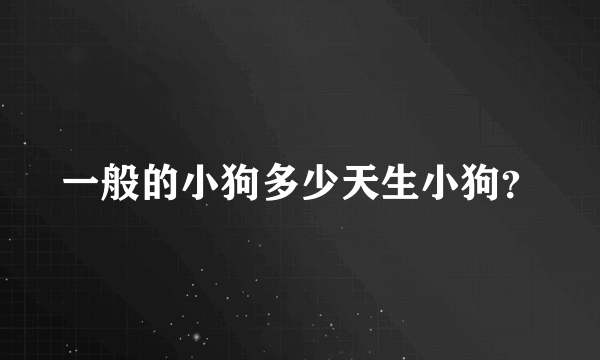 一般的小狗多少天生小狗？