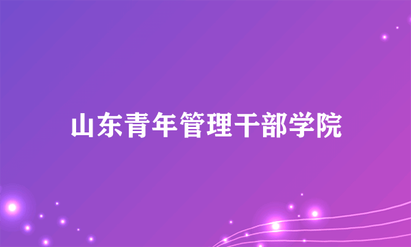 山东青年管理干部学院