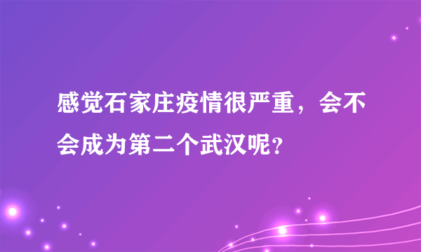 感觉石家庄疫情很严重，会不会成为第二个武汉呢？