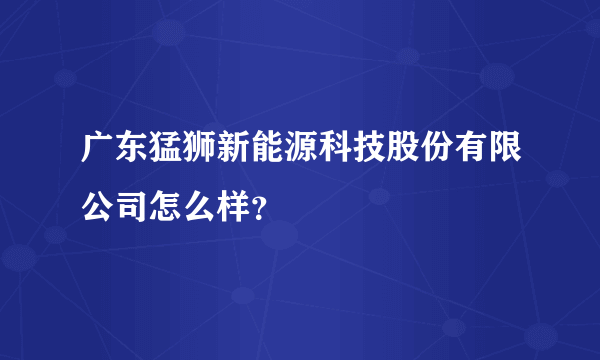 广东猛狮新能源科技股份有限公司怎么样？