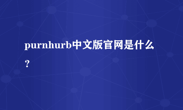 purnhurb中文版官网是什么？