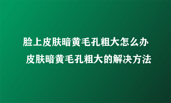 脸上皮肤暗黄毛孔粗大怎么办 皮肤暗黄毛孔粗大的解决方法