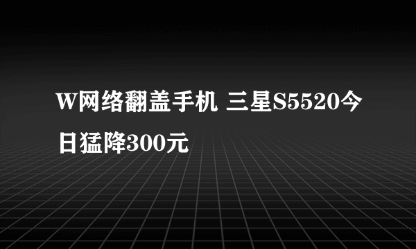 W网络翻盖手机 三星S5520今日猛降300元