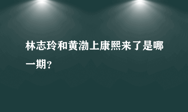 林志玲和黄渤上康熙来了是哪一期？