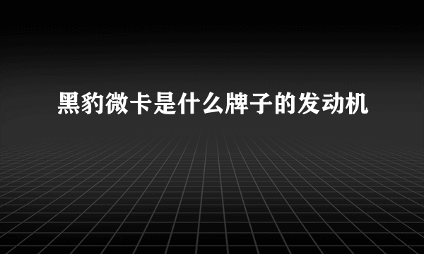 黑豹微卡是什么牌子的发动机