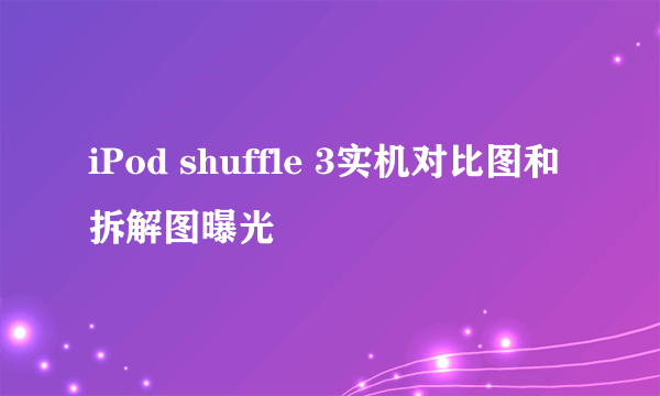 iPod shuffle 3实机对比图和拆解图曝光