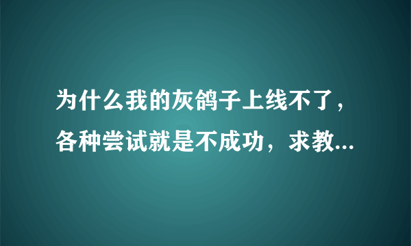 为什么我的灰鸽子上线不了，各种尝试就是不成功，求教啊求教~