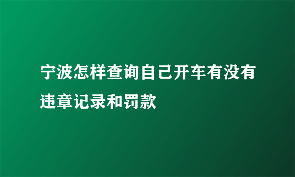 宁波怎样查询自己开车有没有违章记录和罚款