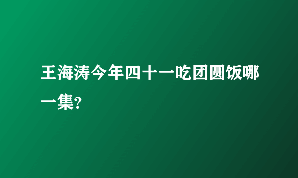 王海涛今年四十一吃团圆饭哪一集？