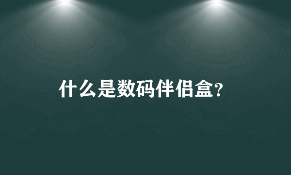 什么是数码伴侣盒？