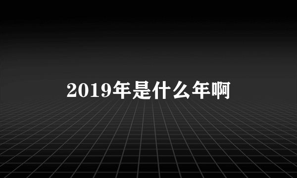 2019年是什么年啊