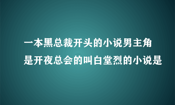 一本黑总裁开头的小说男主角是开夜总会的叫白堂烈的小说是