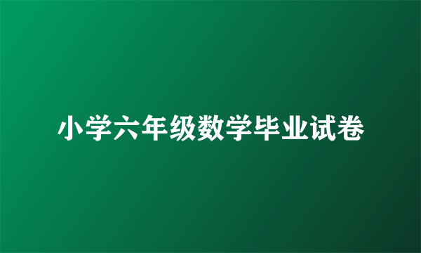 小学六年级数学毕业试卷