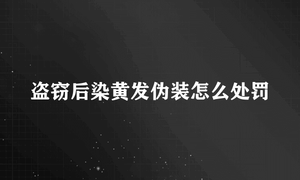 盗窃后染黄发伪装怎么处罚