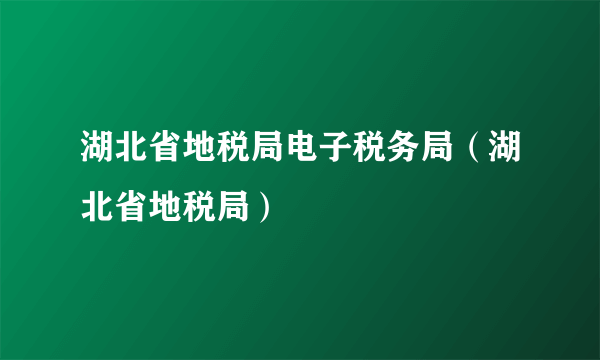 湖北省地税局电子税务局（湖北省地税局）