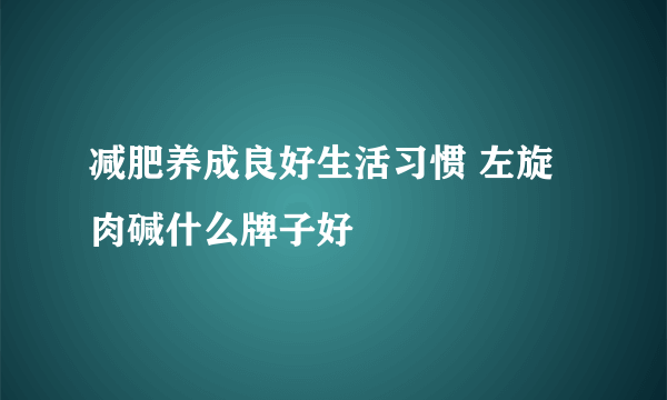 减肥养成良好生活习惯 左旋肉碱什么牌子好