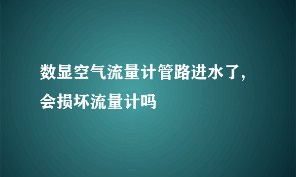 数显空气流量计管路进水了,会损坏流量计吗