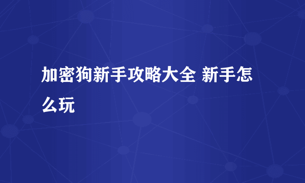 加密狗新手攻略大全 新手怎么玩