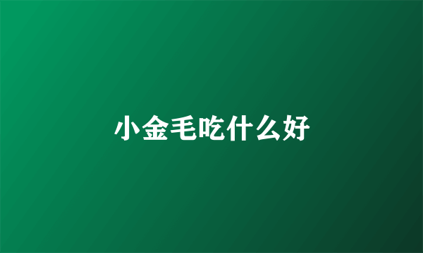 小金毛吃什么好