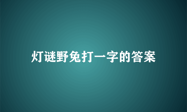 灯谜野兔打一字的答案