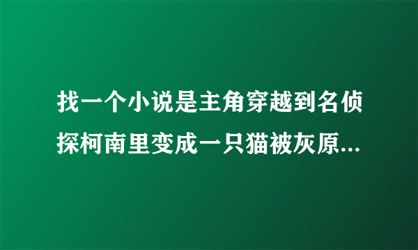 找一个小说是主角穿越到名侦探柯南里变成一只猫被灰原哀（宫野志保形态）收养了主角可以变成人？