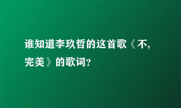 谁知道李玖哲的这首歌《不,完美》的歌词？