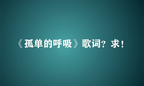 《孤单的呼吸》歌词？求！