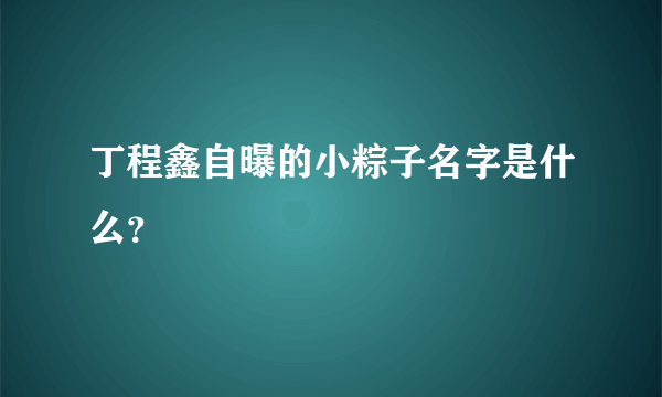 丁程鑫自曝的小粽子名字是什么？