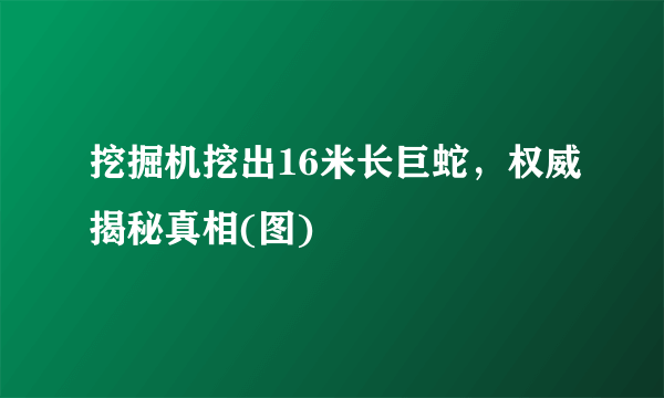 挖掘机挖出16米长巨蛇，权威揭秘真相(图) 