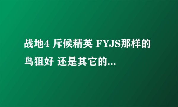 战地4 斥候精英 FYJS那样的鸟狙好 还是其它的普通单狙好？