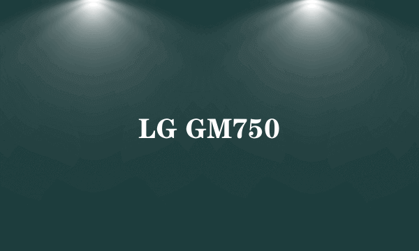 LG GM750