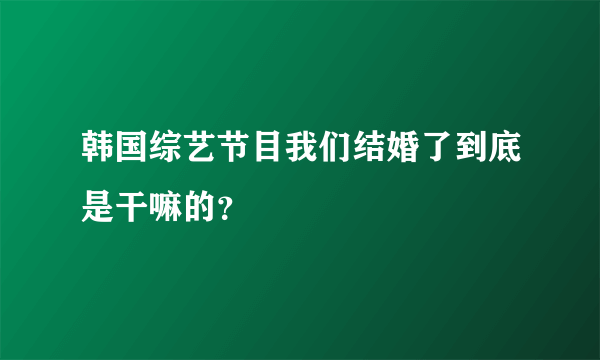 韩国综艺节目我们结婚了到底是干嘛的？