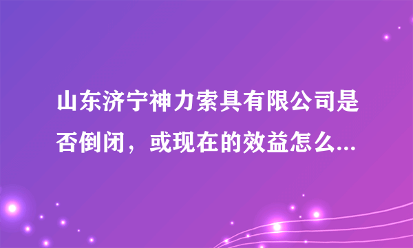 山东济宁神力索具有限公司是否倒闭，或现在的效益怎么样，金融危机对这个公司影响怎么样。