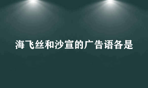 海飞丝和沙宣的广告语各是