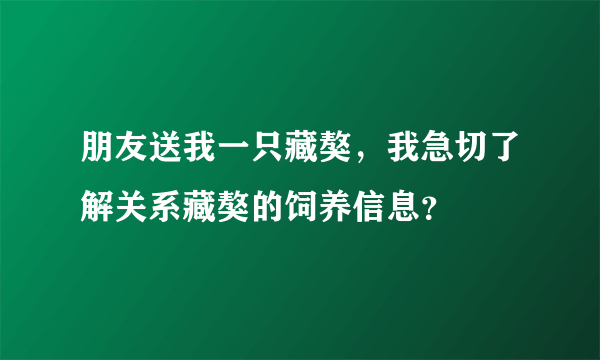 朋友送我一只藏獒，我急切了解关系藏獒的饲养信息？