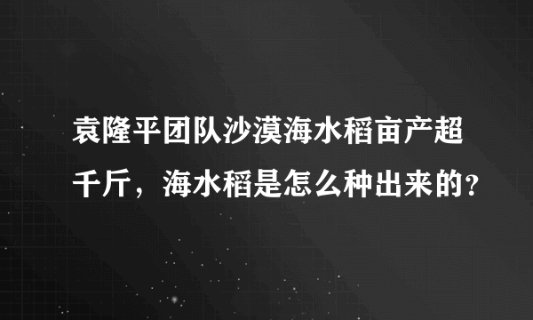 袁隆平团队沙漠海水稻亩产超千斤，海水稻是怎么种出来的？